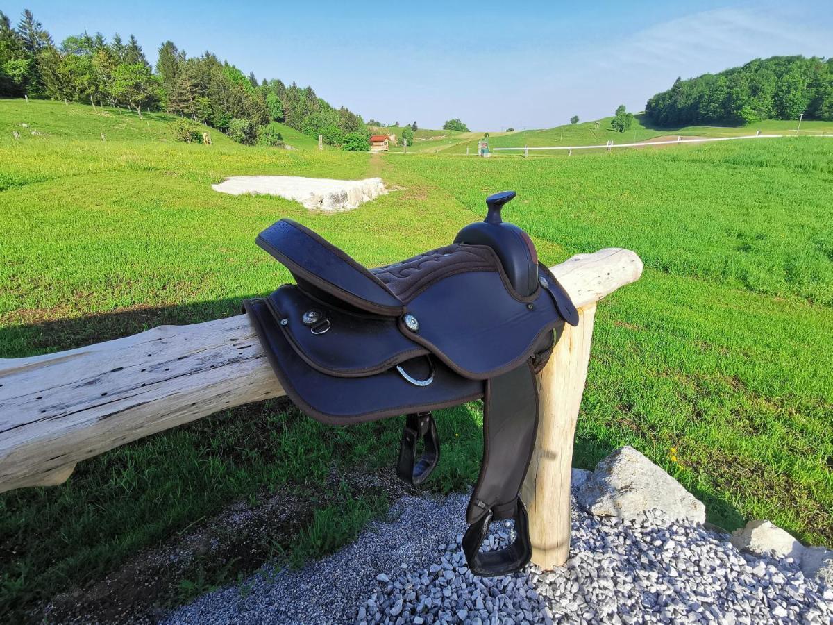 Cowboy'S Land Hotel Visnja Gora Luaran gambar