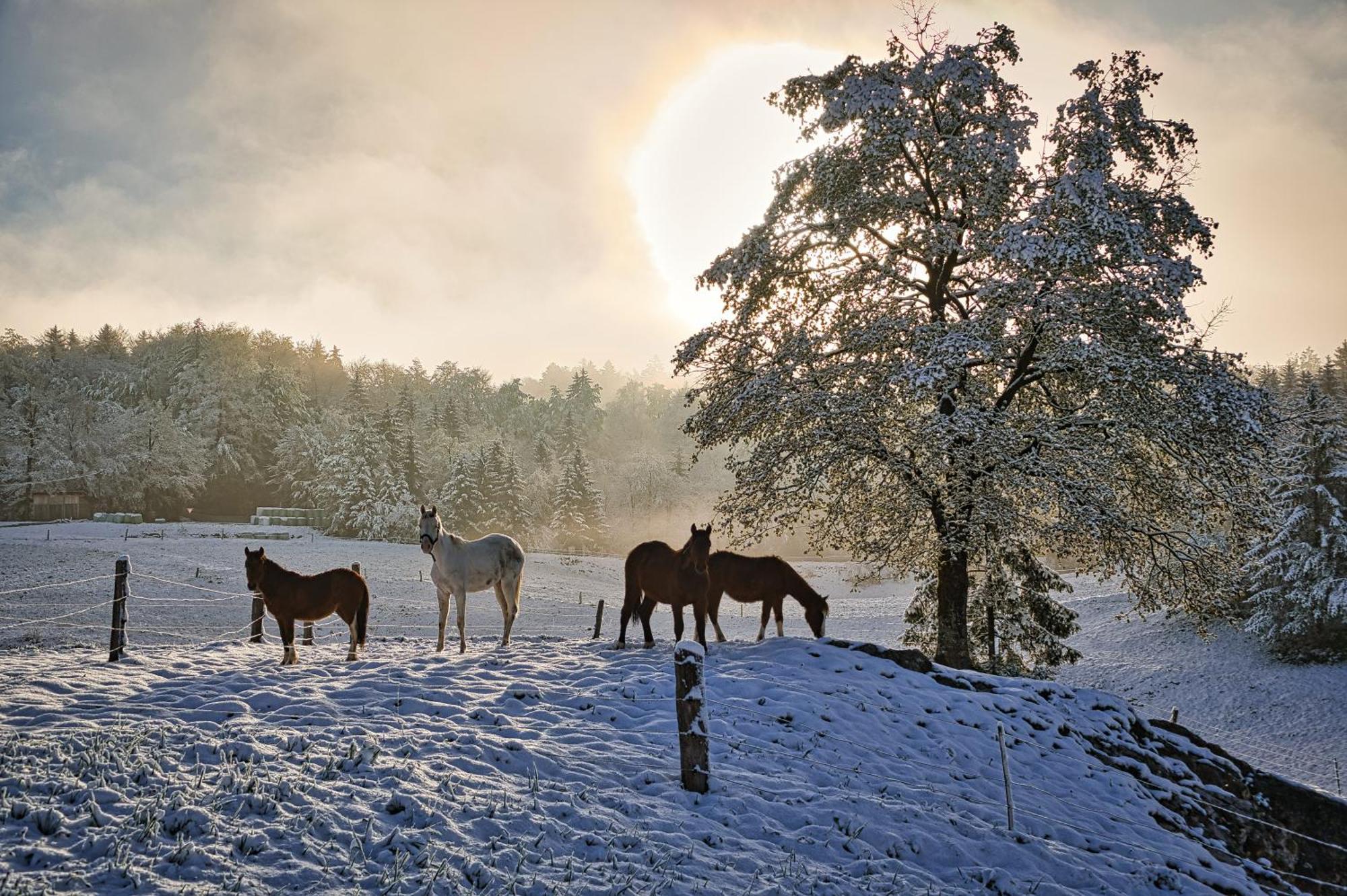 Cowboy'S Land Hotel Visnja Gora Luaran gambar